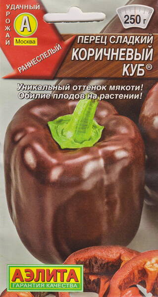 Paprika "Brown Cube" Paprika "Brown Cube"